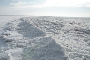image01