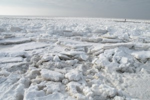 image02