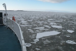 image05