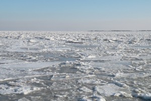 image08