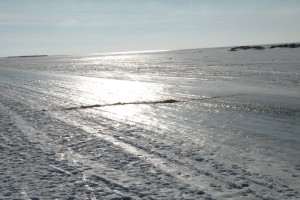 image11