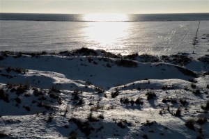 image12