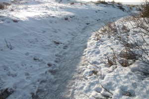 image13