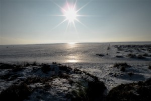 image14