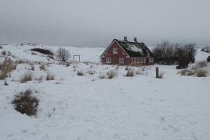 image17