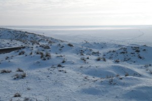 image22