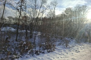 IMG_8197