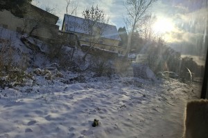 IMG_8198