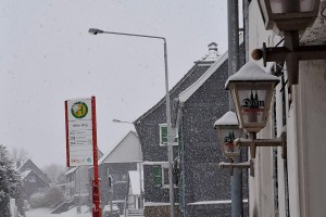 IMG_8202