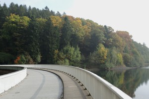 DSCN7026