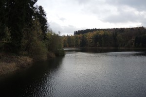 DSCN7093