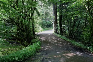 DSCN7772