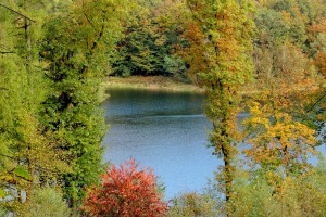 DSCN8631