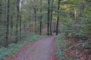 DSCN8635