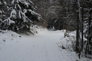 DSCN8798