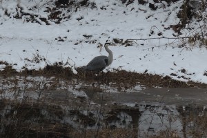 DSCN8799