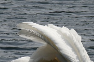 L1000228