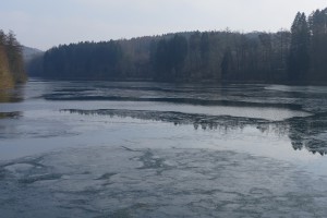L1000232