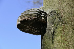 L1030578