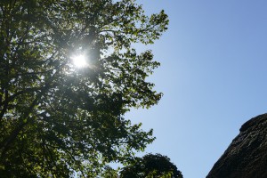L1080623
