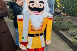 246030d9-a59a-438e-b8e0-1f3ff41b1dfa