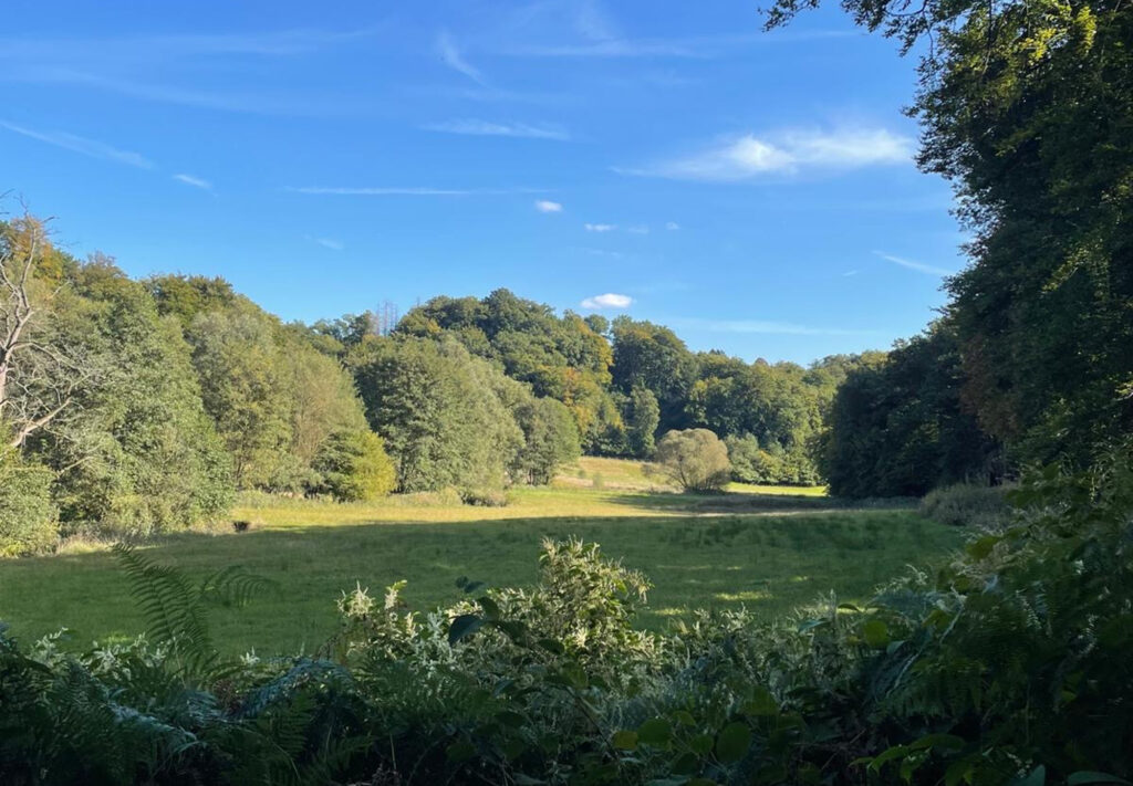 Eifgenbachweg wieder durchgehend begehbar