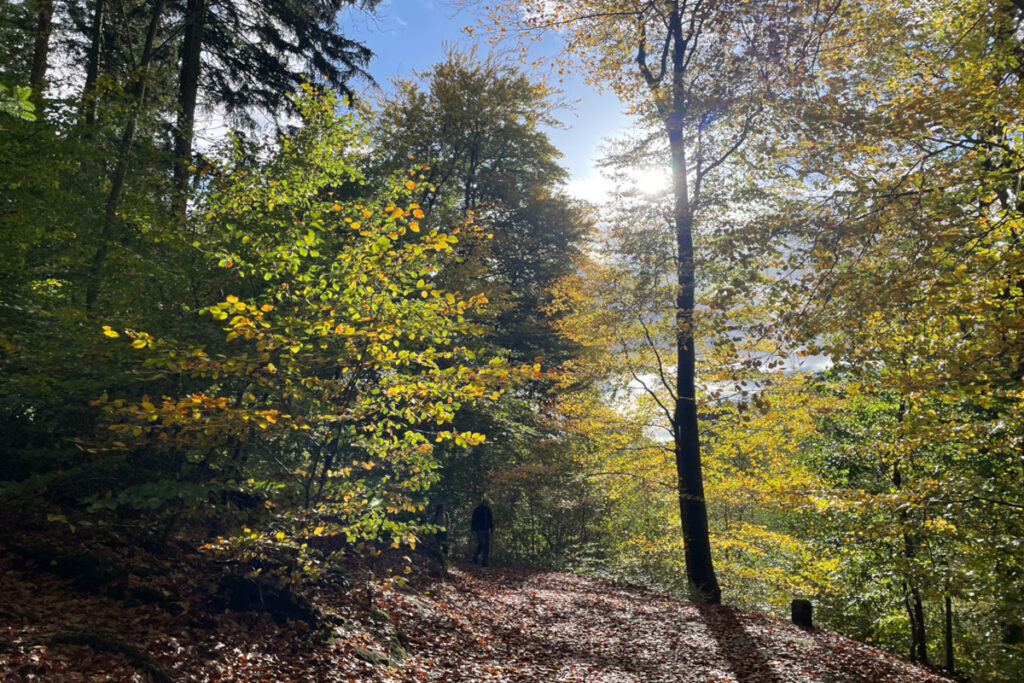 Herbst ist es wieder