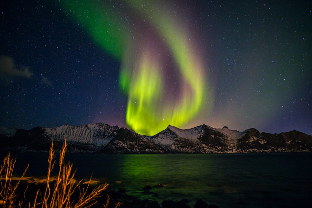 Abgesagt! – Gerhard Hilverkus – willst du wissen was Schönheit ist, so gehe hinaus in die Natur