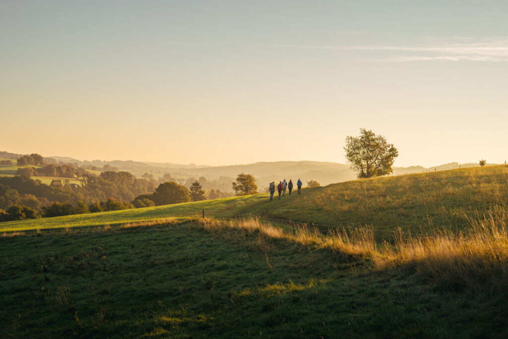 „Das Bergische“ zieht positive Jahresbilanz