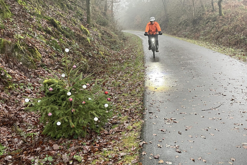 Weihnacht an der Trasse