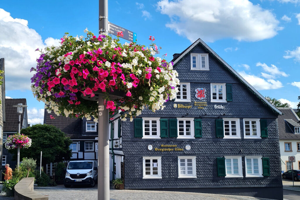 Sponsoren für blühende Blumenampeln gesucht