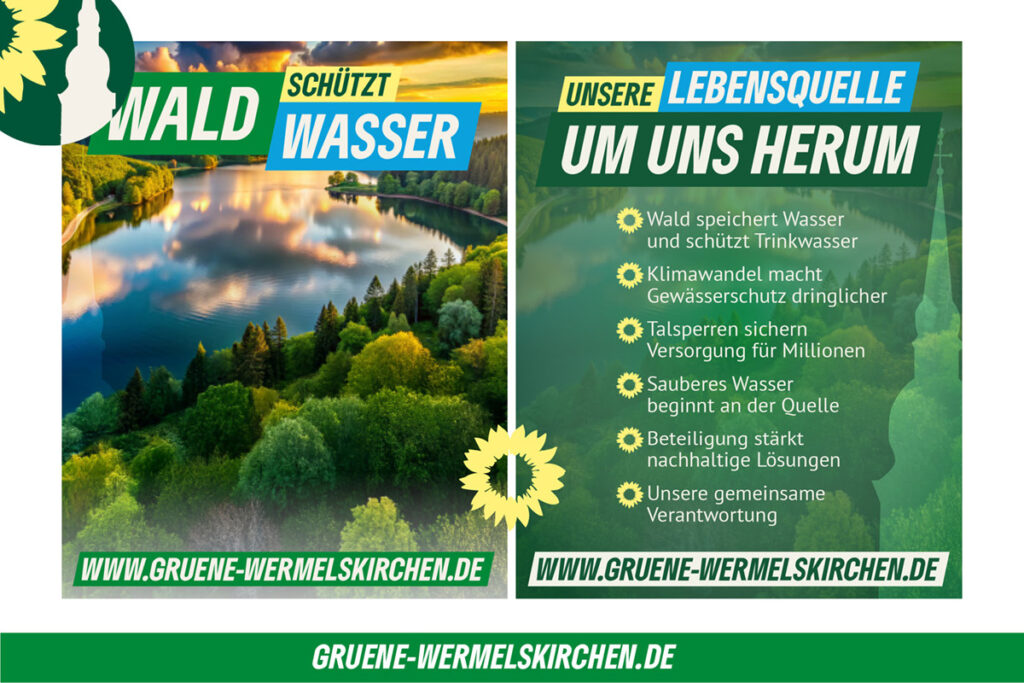 Wald schützt Wasser