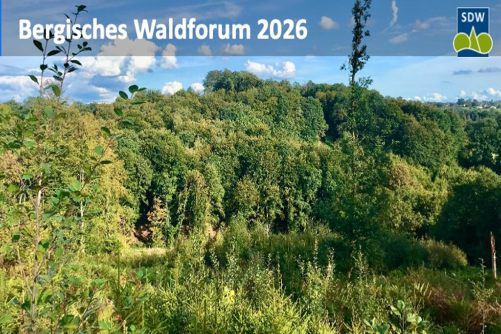 Schutzgemeinschaft Deutscher Wald lädt zum Bergischen Waldforum 2026 ein