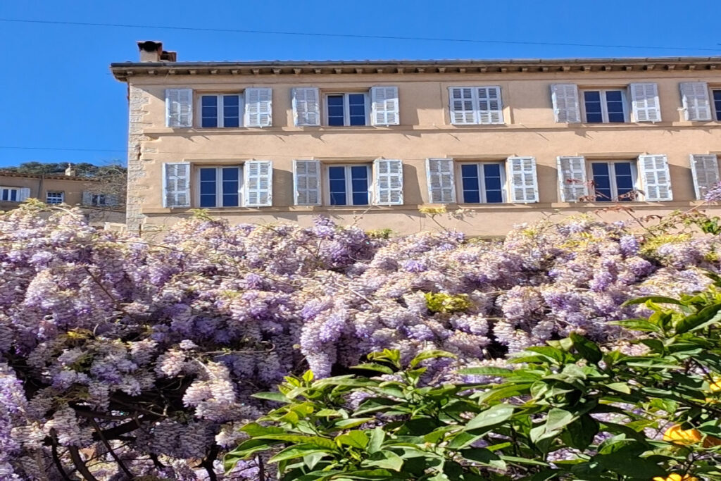 Ein langer Ritt und eine ganz neue Erfahrung