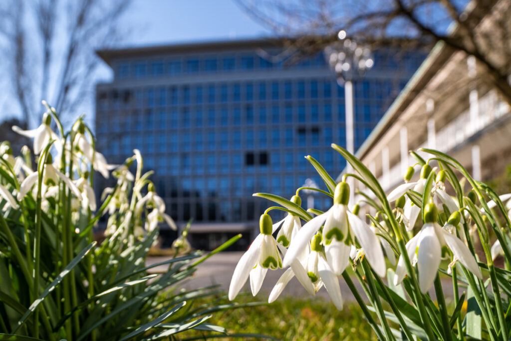 Milder und trockener Frühlingsstart