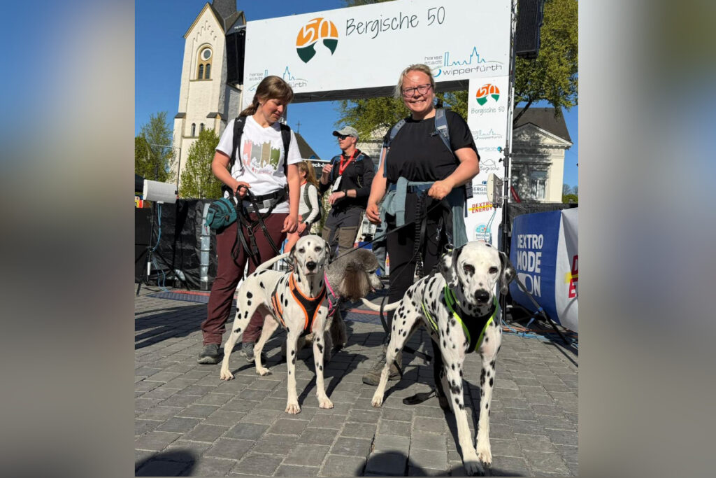 Wanderschuhe können sich abnutzen – die Bergischen 50
