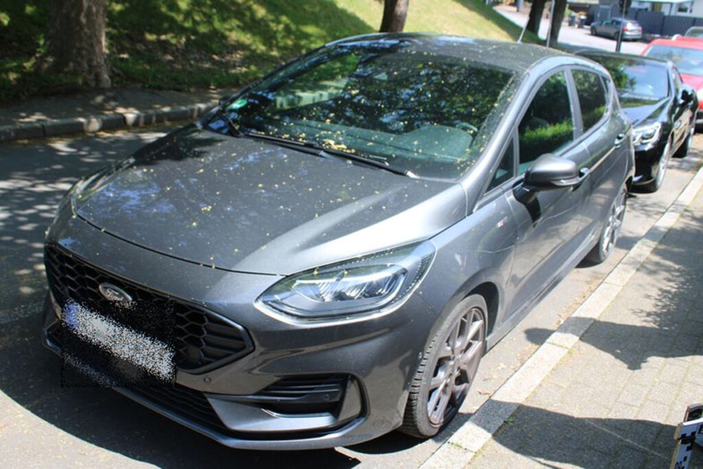 Sechs Autos zerkratzt