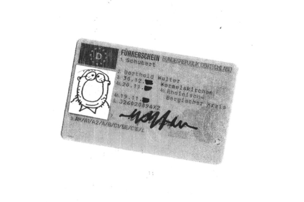 Führerschein – völlig aus dem Ruder gelaufen