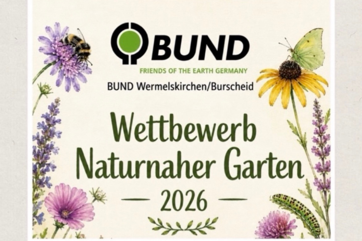 Wettbewerb – Naturnaher Garten