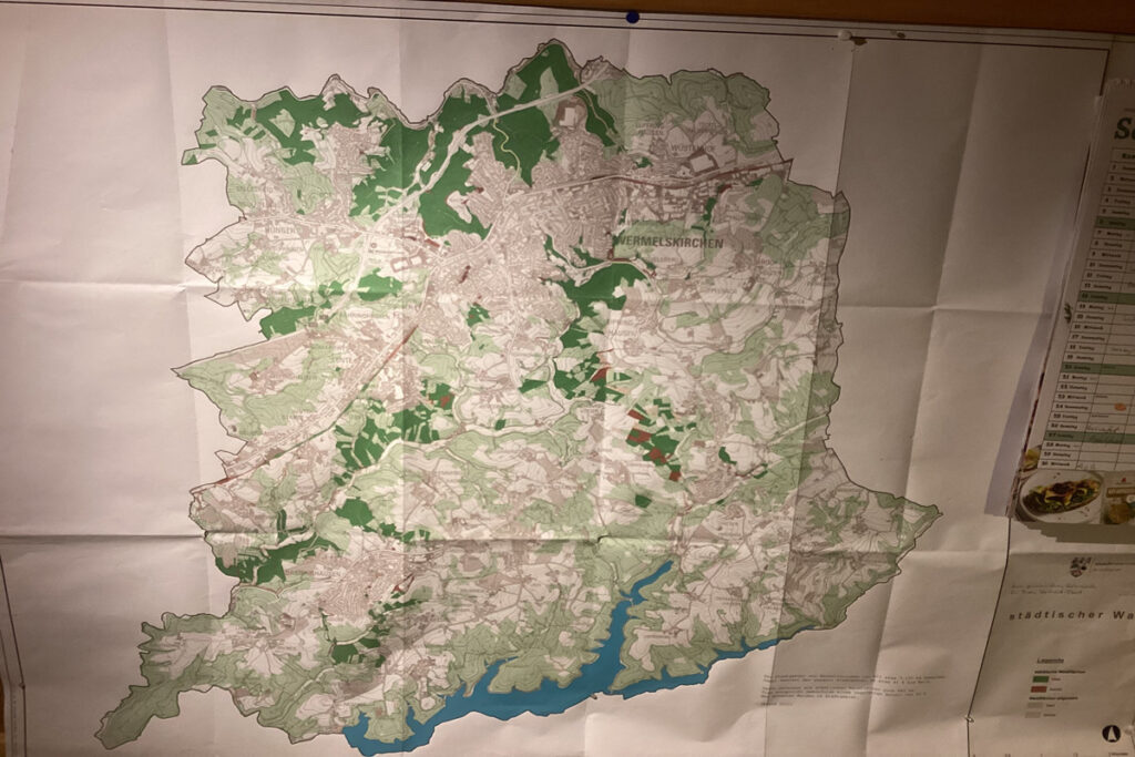 Wald in Wermelskirchen – Teil 1: Unser Wald vor der Haustür